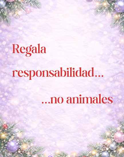 Text in Spanish with a festive, wintery background and decorated pine branches. The message reads: Regala responsabilidad... no animales, promovido por Blog Veterinaria Oviedo para fomentar la entrega responsable de mascotas estas fiestas.